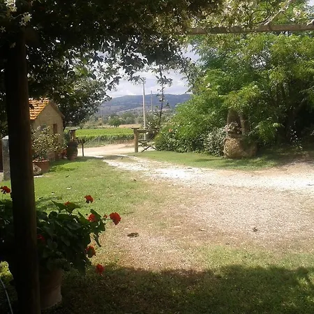 Farm stay Poggio Dell'olivo Pitigliano