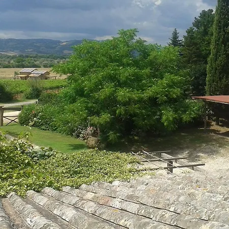 Poggio Dell'olivo * ピティリアーノ