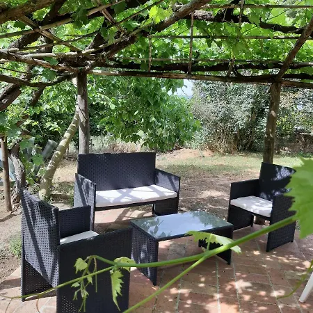 Poggio Dell'olivo * Pitigliano