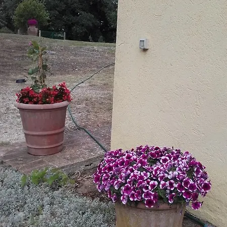 Poggio Dell'olivo Pitigliano