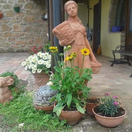 Poggio Dell'olivo *